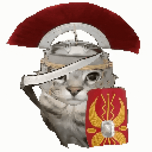 Roman Cat